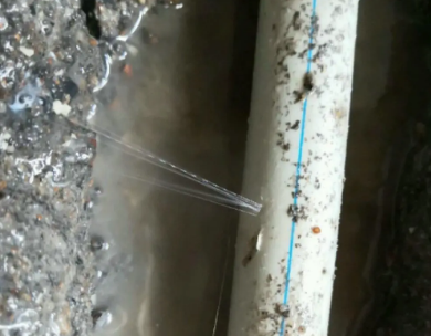 本溪市测漏水哪家好