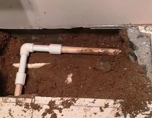 本溪市测漏水哪家好