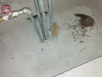 本溪市卫生间测漏水价格明细