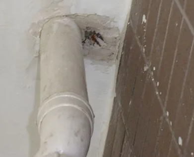 本溪市漏水检测哪家好